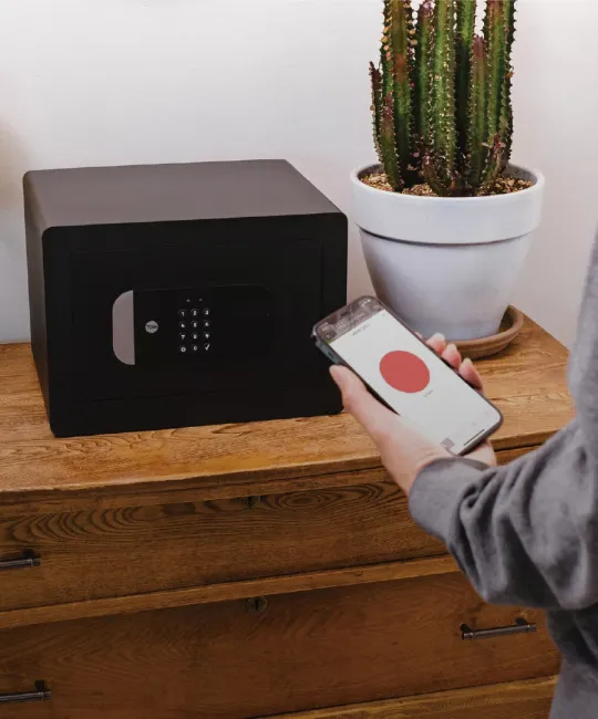 Ceramic Concept Image